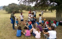 El lince ibérico deja su huella en los escolares de Ciudad Real